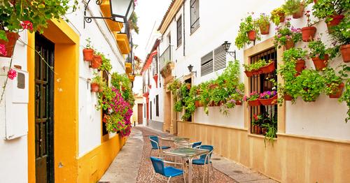 【コルドバ】街全体が花に囲まれるパティオ祭り！（イメージ）