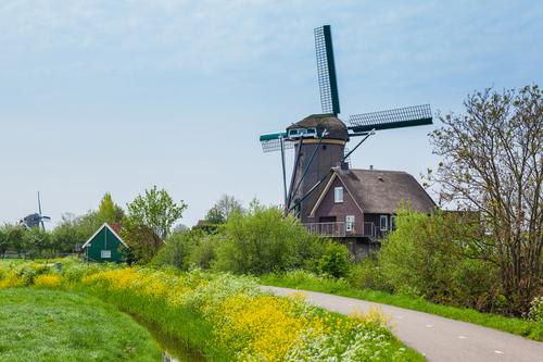 【オランダ】風車とのどかな風景（イメージ）