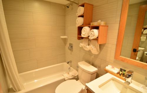 【ターミガンイン】客室/イメージ　(C)Banff Ptarmigan Inn