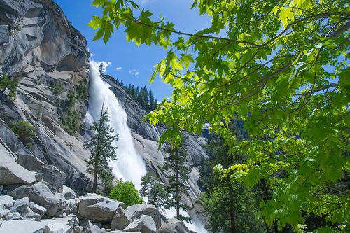 ヨセミテ国立公園Yosemite Spring Images／イメージ （c）Chris Migeon