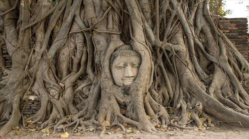 アユタヤ　ワット・マハータート/写真提供：タイ国政府観光庁