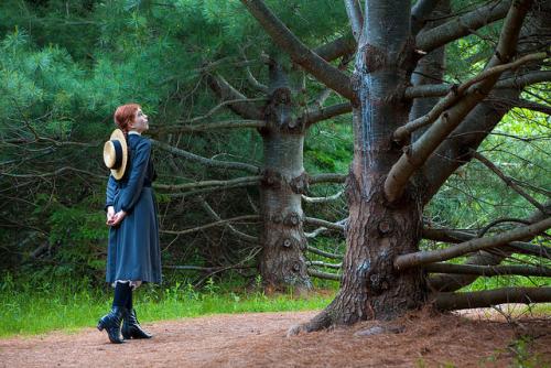 *お化けの森/イメージ　(C)Tourism PEI / John Sylvester