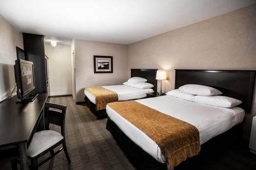 【スカイラインイン】客室一例