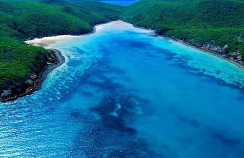 ≪青くきらめくハミルトン島のビーチ≫