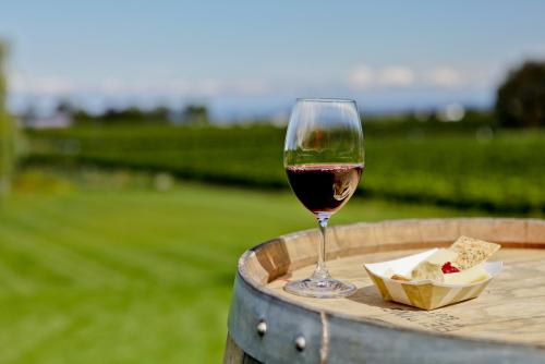 *カナダワイン（イメージ）　写真提供：オンタリオ州観光局