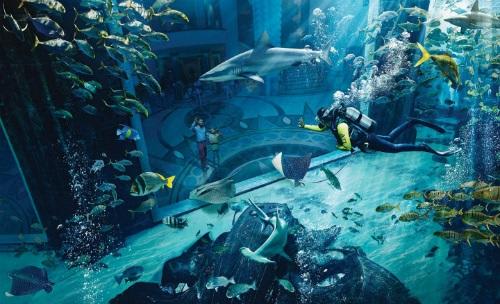 《ATLANTIS The Palm》ロストチェンバー水族館/イメージ