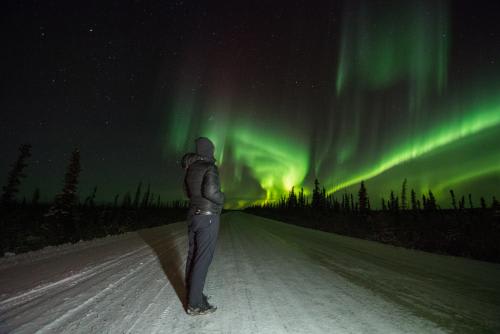 *絶景のオーロラ　(C)Danny Swainson/NWT Tourism