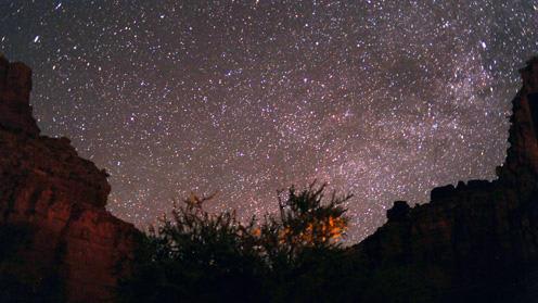 *グランドキャニオン 満天の星空　写真提供 JMAKI