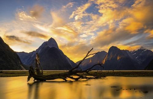 ≪夕日がかかった世界遺産ミルフォードサウンドの風景/イメージ≫