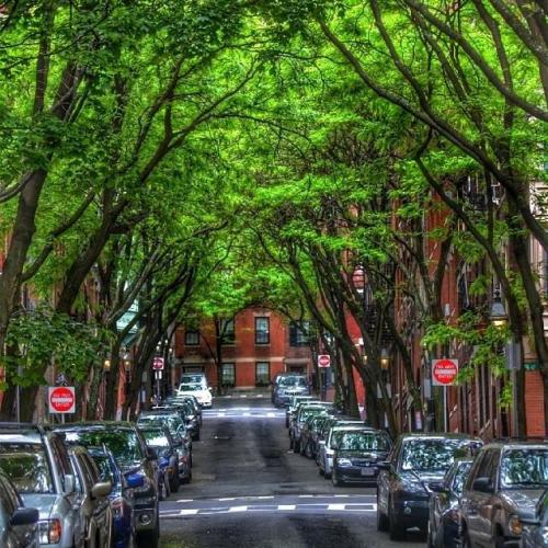 【ボストン】石畳の素敵な景色のビーコンヒル／イメージ (C)マサチューセッツ州政府観光局