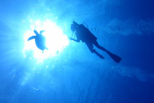 【グアム　ダイビング】