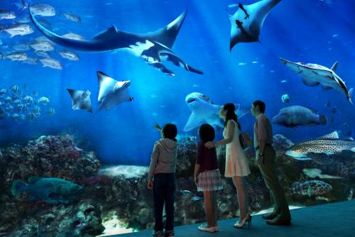 【シー・アクアリウム】世界最大級の海洋水族館