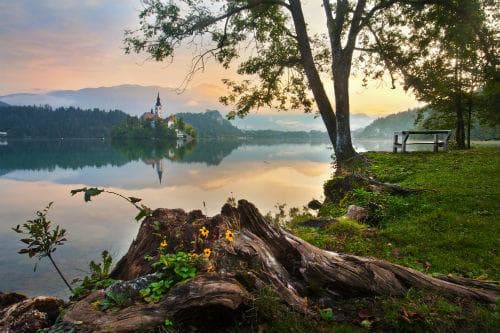 【スロベニア】アルプスの瞳「ブレッド湖」／イメージ (www.slovenia.info, photo:Bled - #F000835)