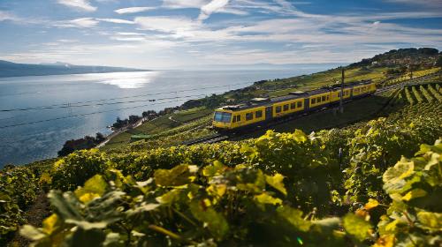 【レマン湖畔】ワイン畑と列車/イメージ 写真：スイス政府観光局/Marcus Gyger