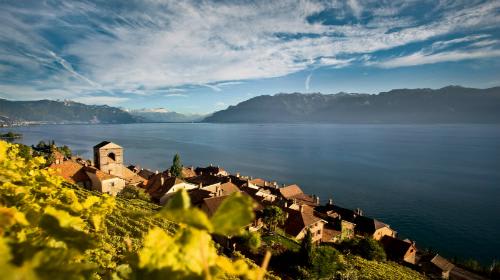 レマン湖畔のブドウ畑 （イメージ）写真：スイス政府観光局/Marcus Gyger