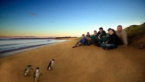 ≪ペンギンパレードの様子≫間近で見る事が出来ます