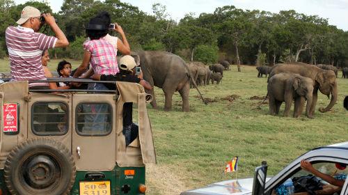 ミネリヤ国立公園でジープサファリ/イメージ
