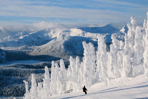 *BC州の冬はスキーリゾートを楽しもう　(C)Mount Washington Alpine Resort