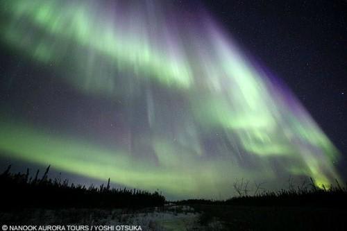  *(C)NANOOK AURORA TOURS/YOSHI OTSUKA
