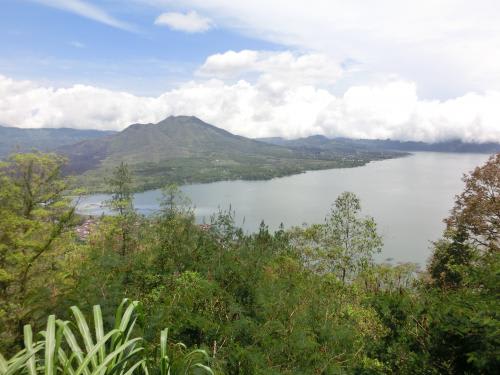 キンタマーニー