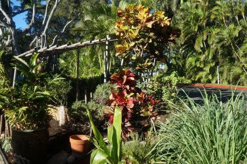 【カハラホテル】ハーブガーデン／イメージ