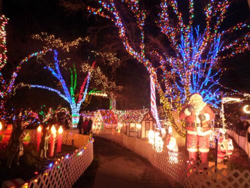 *スタンレーバークのイルミネーション(C)NatuliveCanada