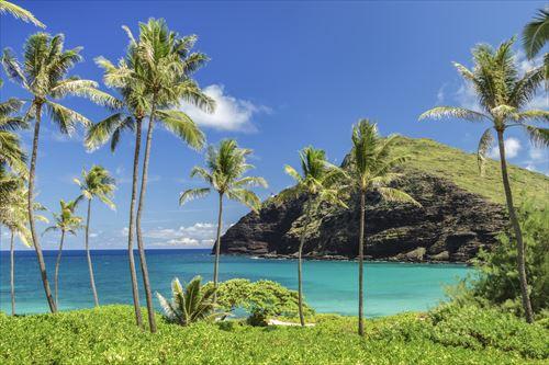 【ハワイ】ごほうびハワイ　のんびりビーチ