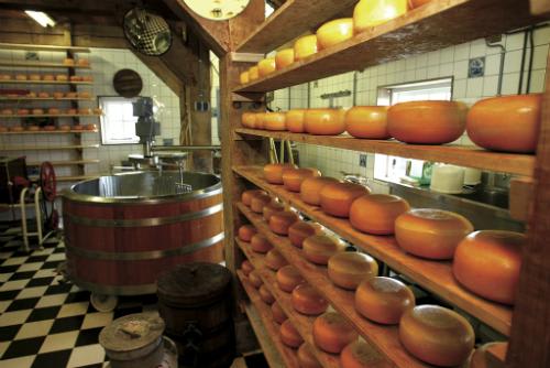 【オランダ】チーズ工場/イメージ（C）オランダ政府観光局