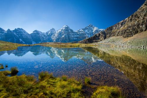 *バンフ国立公園内　(C)Paul Zizka, Banff & Lake Louise Tourism