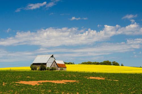 *緑あふれるPEI　(C)Tourism PEI / Sean Landsman