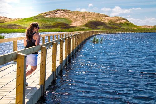 *PEIが1番輝く季節　(C)Tourism PEI / Lans Photography