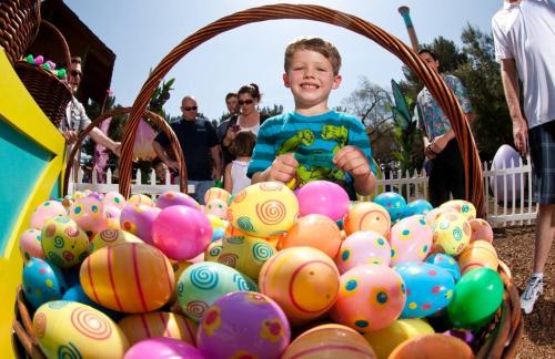 *ナッツベリーファーム