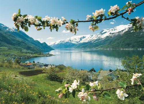 ハダンゲルフィヨルドの風景(イメージ)／(C)Per Eide - Visitnorway.com