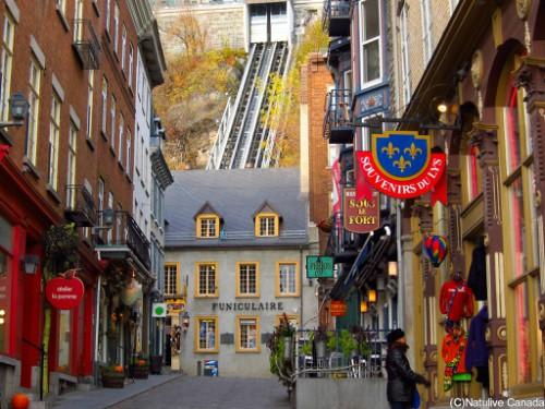 *プチ シャンプラン通り