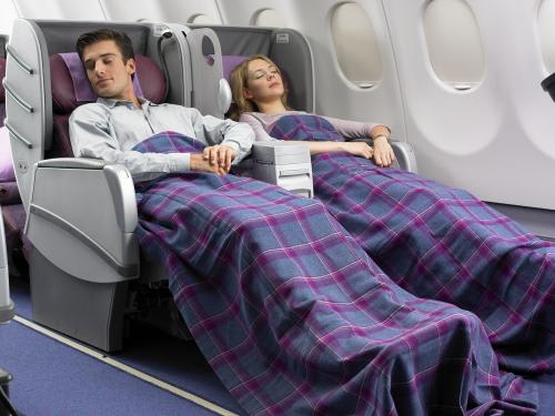 ［要追加代金］ビジネスクラスのアレンジも承ります／イメージ